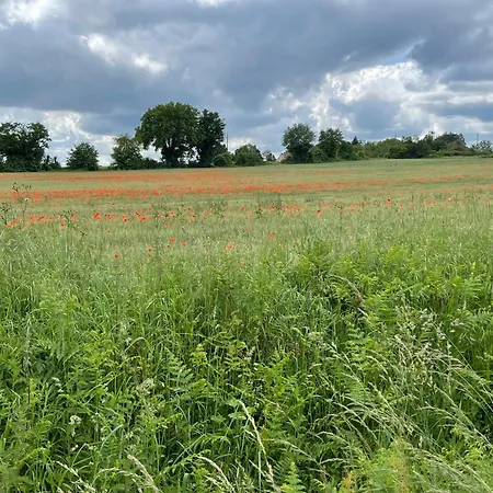 Habitación en casa particular Au Repos Du Lezard, L Oasis Familial