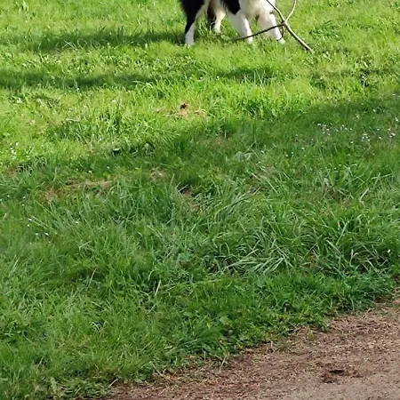 Au Repos Du Lezard, L Oasis Familial *