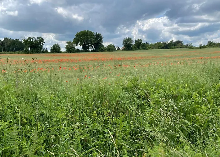 Ubytování v soukromí Au Repos Du Lezard, L Oasis Familial