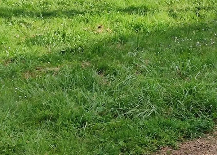 Au Repos Du Lezard, L Oasis Familial *